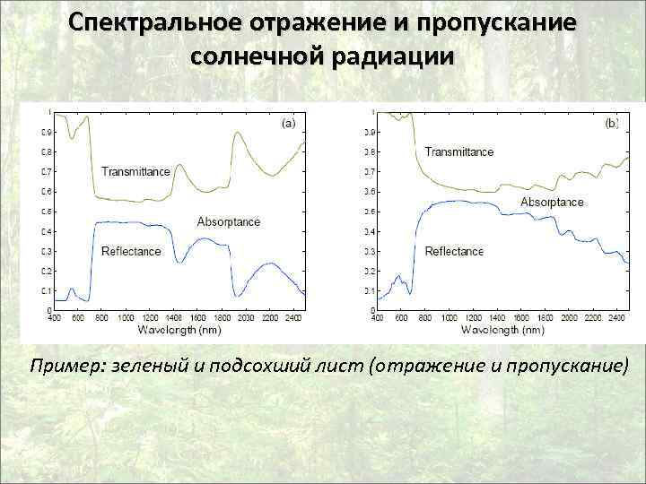 Спектральное пропускание. Спектральное отражение. Методы измерения солнечной радиации. Спектральное отражение и пропускание излучения. Пропускание образца.