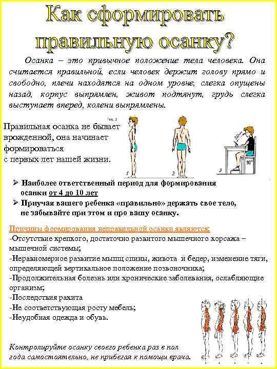 Как сформировать правильную осанку? Осанка – это привычное положение тела человека. Она считается правильной,