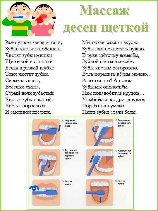 Массаж десен щеткой Рано утром звери встали, Зубки чистить побежали. Чистят зубки мишки Щеточкой