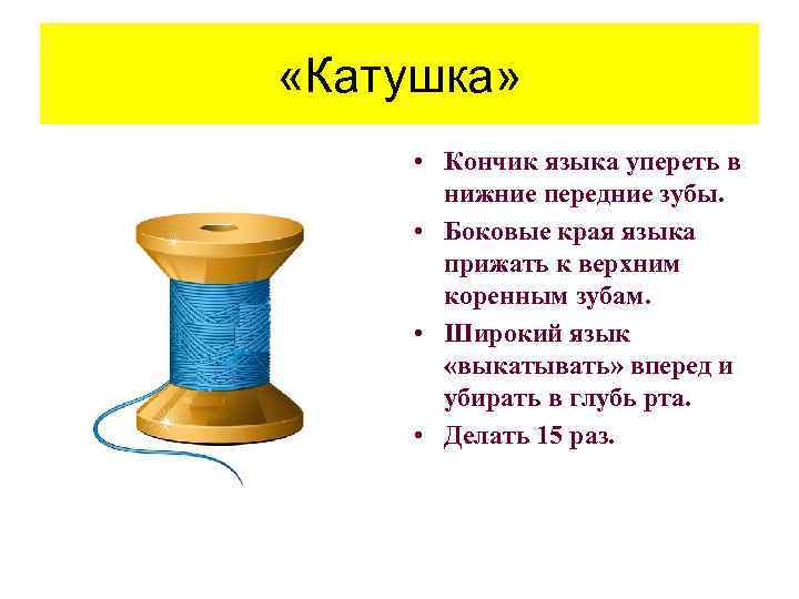  «Катушка» • Кончик языка упереть в нижние передние зубы. • Боковые края языка