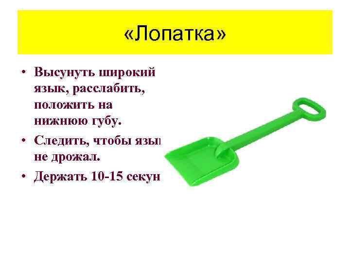  «Лопатка» • Высунуть широкий язык, расслабить, положить на нижнюю губу. • Следить, чтобы
