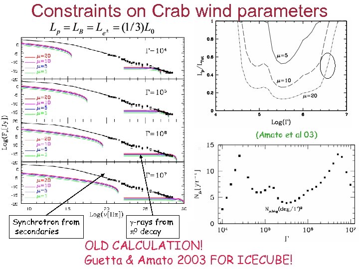 Constraints on Crab wind parameters (Amato et al 03) Synchrotron from secondaries -rays from