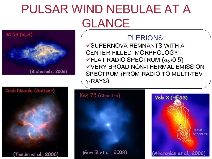 PULSAR WIND NEBULAE AT A GLANCE PLERIONS: üSUPERNOVA REMNANTS WITH A CENTER FILLED MORPHOLOGY