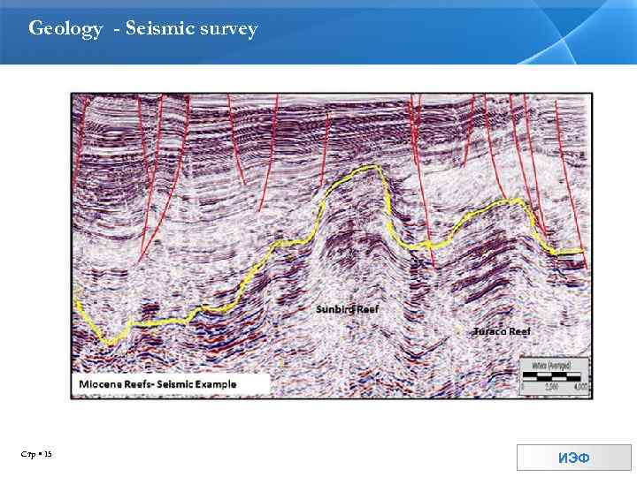 Geology - Seismic survey Стр 15 ИЭФ 
