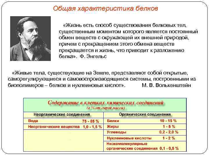 Общая характеристика белков «Жизнь есть способ существования белковых тел, существенным моментом которого является постоянный