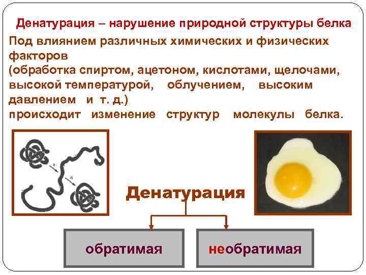 Денатурация – нарушение природной структуры белка. Под влиянием различных химических и физических факторов (обработка