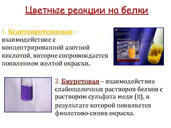 Цветные реакции на белки 1. Ксантопротеиновая – взаимодействие с концентрированной азотной кислотой, которое сопровождается