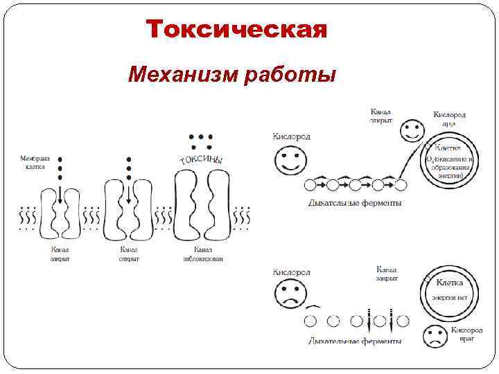 Токсическая Механизм работы 