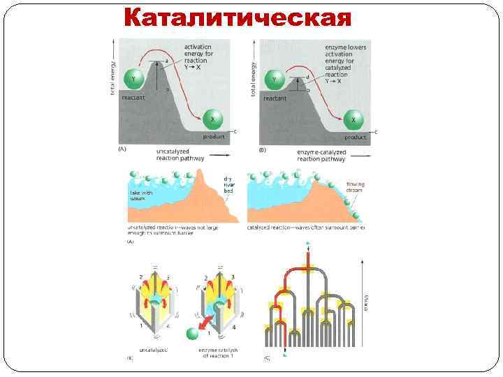 Каталитическая 