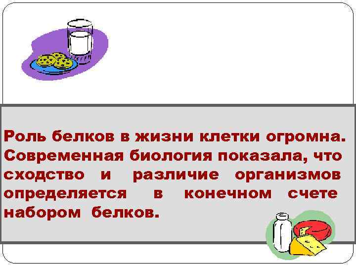 Роль белков в жизни клетки огромна. Современная биология показала, что сходство и различие организмов