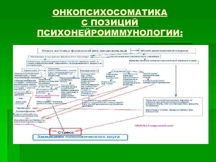 ОНКОПСИХОСОМАТИКА С ПОЗИЦИЙ ПСИХОНЕЙРОИММУНОЛОГИИ: 