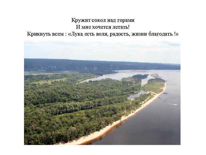 Кружит сокол над горами И мне хочется летать! Крикнуть всем : «Лука есть воля,