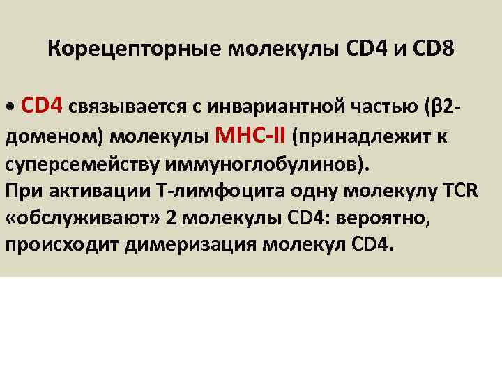 Корецепторные молекулы CD 4 и CD 8 • CD 4 связывается с инвариантной частью