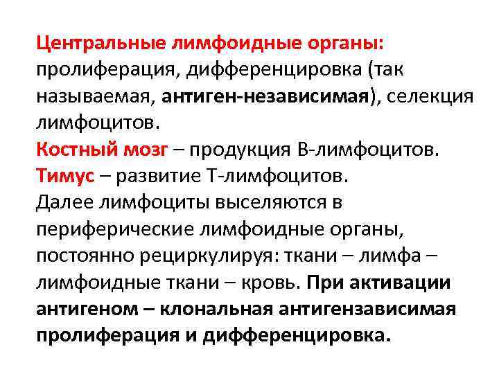 Принцип пролиферации в философию науки ввел. Антиген независимая дифференцировка б лимфоцитов.