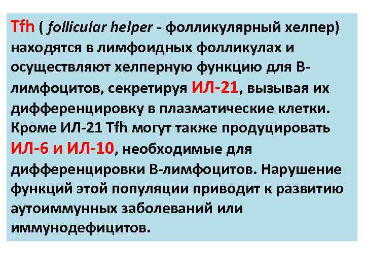 Tfh ( follicular helper - фолликулярный хелпер) находятся в лимфоидных фолликулах и осуществляют хелперную