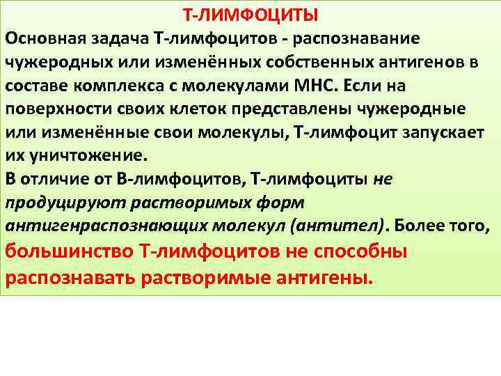 Т-ЛИМФОЦИТЫ Основная задача T-лимфоцитов - распознавание чужеродных или изменённых собственных антигенов в составе комплекса