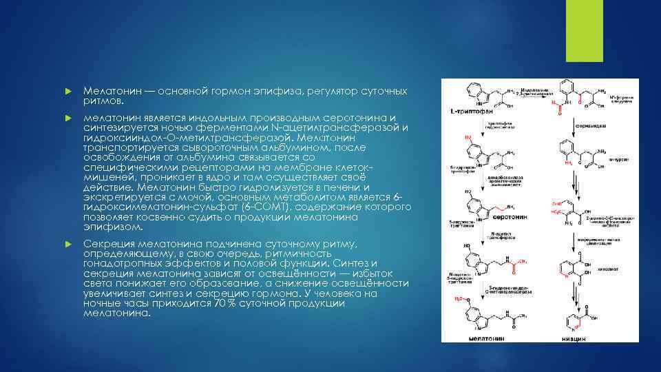  Мелатонин — основной гормон эпифиза, регулятор суточных ритмов. мелатонин является индольным производным серотонина