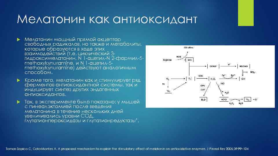 Синтез мелатонина