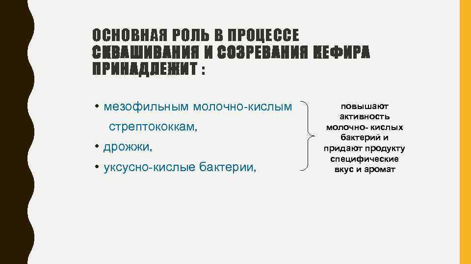 ОСНОВНАЯ РОЛЬ В ПРОЦЕССЕ СКВАШИВАНИЯ И СОЗРЕВАНИЯ КЕФИРА ПРИНАДЛЕЖИТ : • мезофильным молочно-кислым стрептококкам,