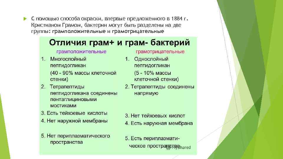  С помощью способа окраски, впервые предложенного в 1884 г. Кристианом Грамом, бактерии могут