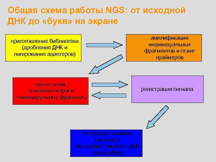 Общая схема работы NGS: от исходной ДНК до «букв» на экране приготовление библиотеки (дробление