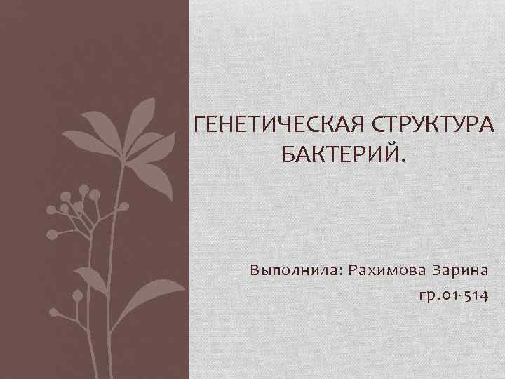 ГЕНЕТИЧЕСКАЯ СТРУКТУРА БАКТЕРИЙ. Выполнила: Рахимова Зарина гр. 01 -514 