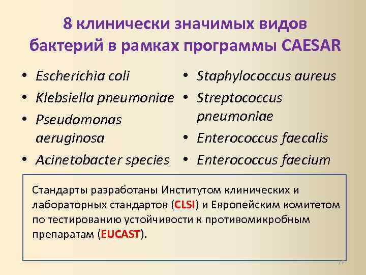 8 клинически значимых видов бактерий в рамках программы CAESAR • Escherichia coli • Klebsiella