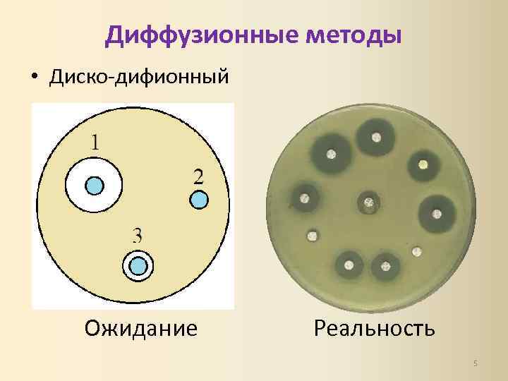 Диффузионные методы • Диско-дифионный Ожидание Реальность 5 