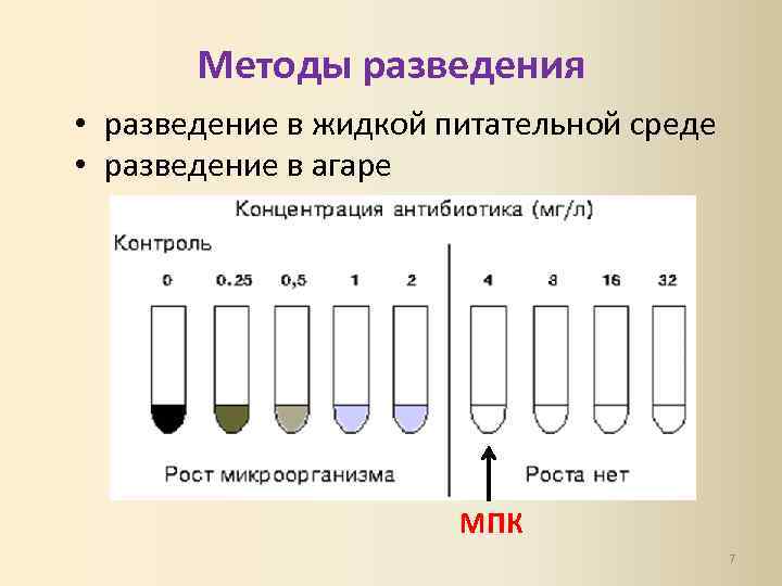 Методы разведения • разведение в жидкой питательной среде • разведение в агаре МПК 7