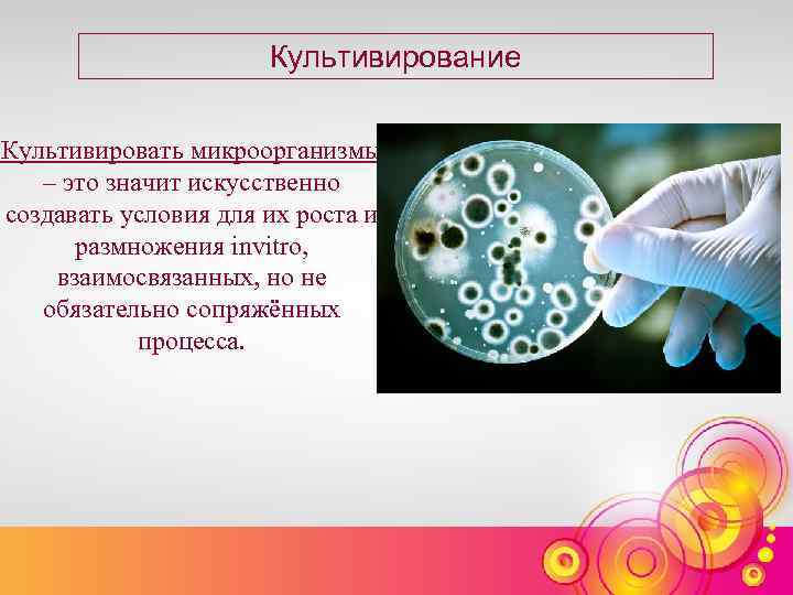 Культивирование Культивировать микроорганизмы – это значит искусственно создавать условия для их роста и размножения