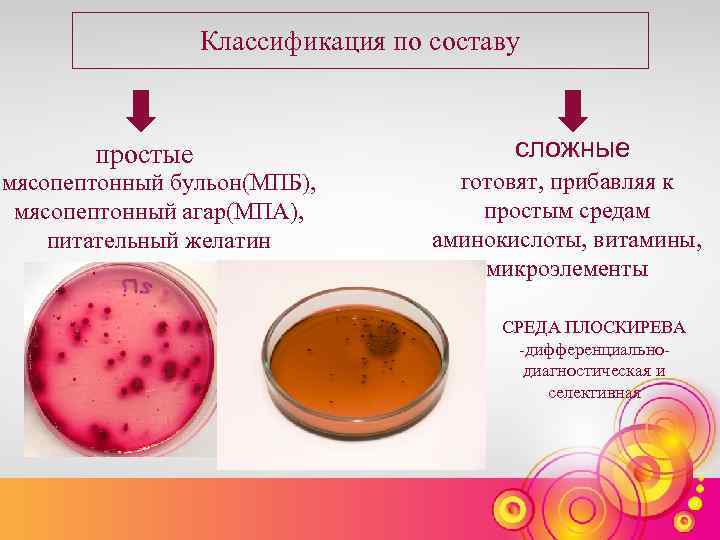 Классификация по составу простые мясопептонный бульон(МПБ), мясопептонный агар(МПА), питательный желатин сложные готовят, прибавляя к