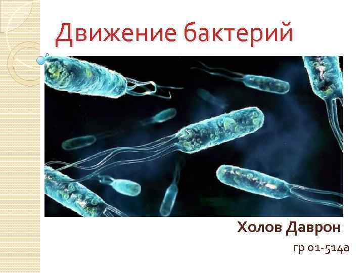 Движение бактерий Холов Даврон гр 01 514 а 