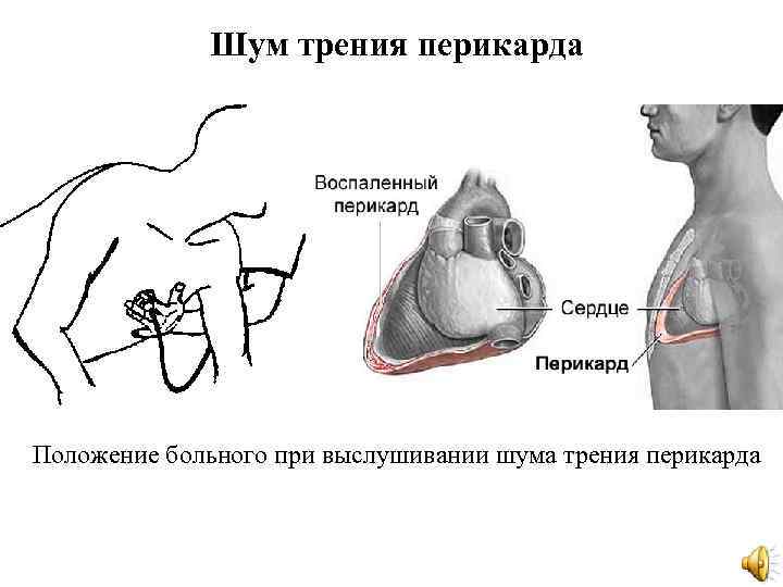 Пропедевтика внутренних