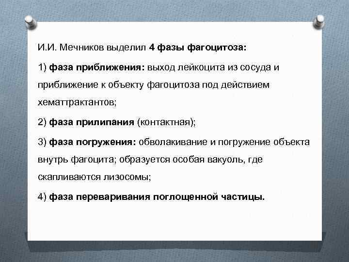 И. И. Мечников выделил 4 фазы фагоцитоза: 1) фаза приближения: выход лейкоцита из сосуда