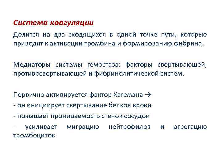 Система коагуляции Делится на два сходящихся в одной точке пути, которые приводят к активации