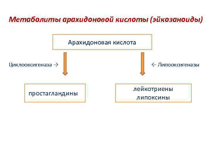 Метаболиты арахидоновой кислоты (эйкозаноиды) Арахидоновая кислота Циклооксигеназа → простагландины ← Липооксигеназы лейкотриены липоксины 