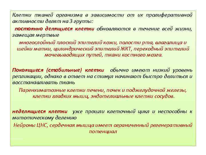 Клетки тканей организма в зависимости от их пролиферативной активности делят на 3 группы: постоянно