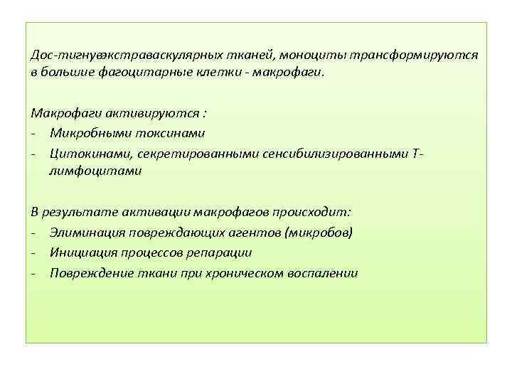  Дос тигнув экстраваскулярных тканей, моноциты трансформируются в большие фагоцитарные клетки макрофаги. Макрофаги активируются