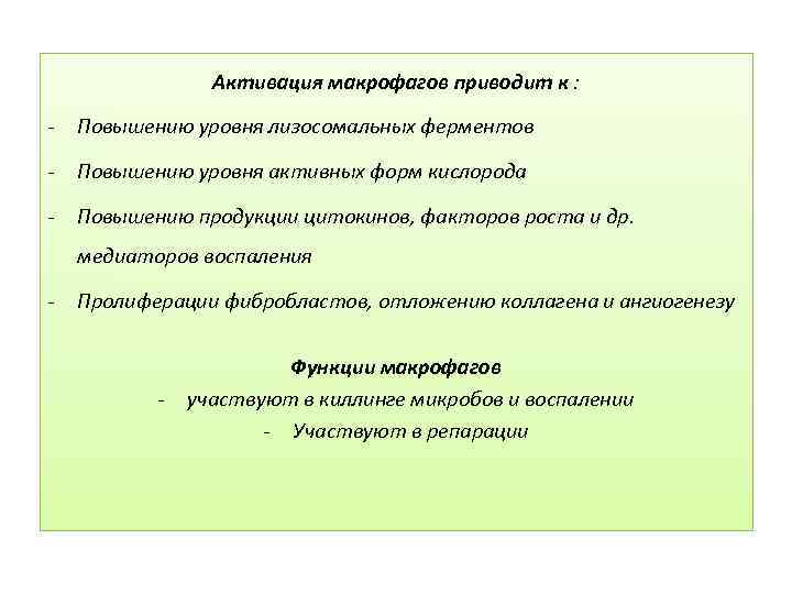 Активация макрофагов приводит к : - Повышению уровня лизосомальных ферментов - Повышению уровня активных