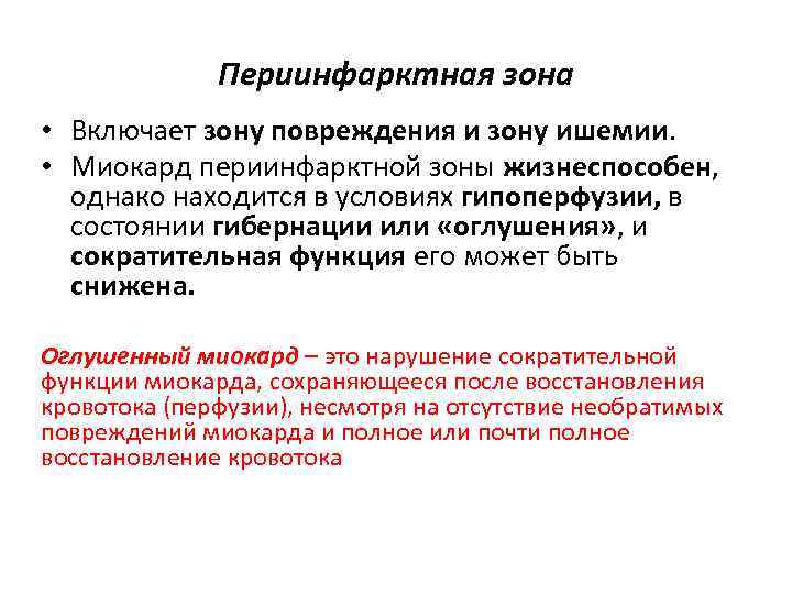 Периинфарктная зона • Включает зону повреждения и зону ишемии. • Миокард периинфарктной зоны жизнеспособен,