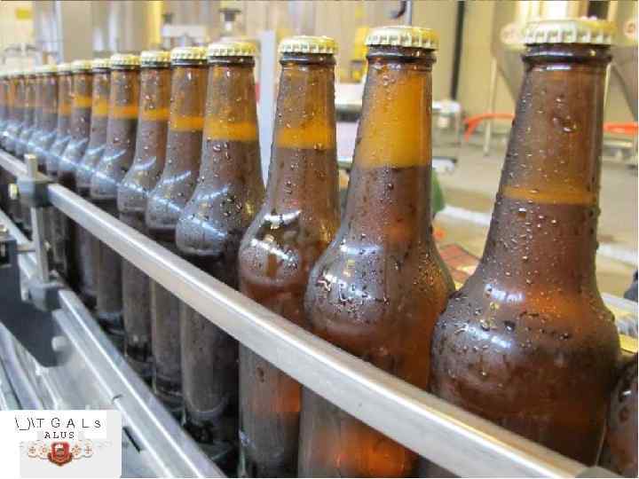 _). T G A L s - ALUS - 