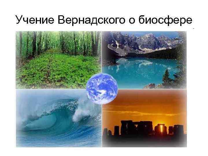 Учение Вернадского о биосфере 