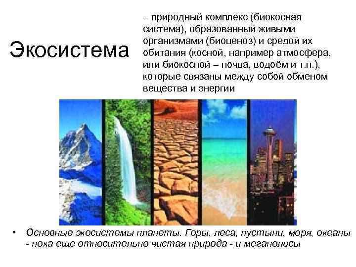 Экосистема – природный комплекс (биокосная система), образованный живыми организмами (биоценоз) и средой их обитания