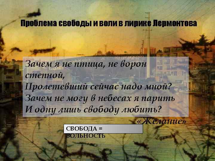 Проблема свободы и воли в лирике Лермонтова Зачем я не птица, не ворон степной,