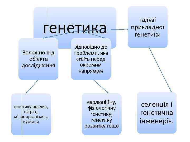 генетика Залежно від об'єкта дослідження генетику рослин, тварин, мікроорганізмів, людини галузі прикладної генетики відповідно