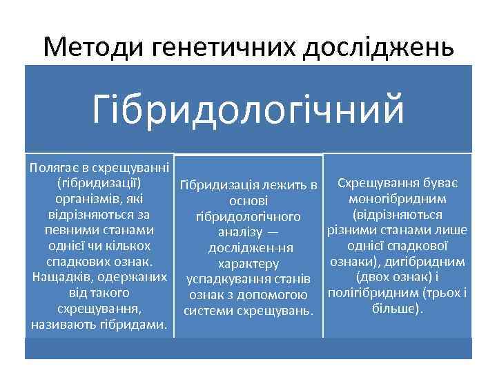 Методи генетичних досліджень Гібридологічний Полягає в схрещуванні (гібридизації) Гібридизація лежить в Схрещування буває моногібридним