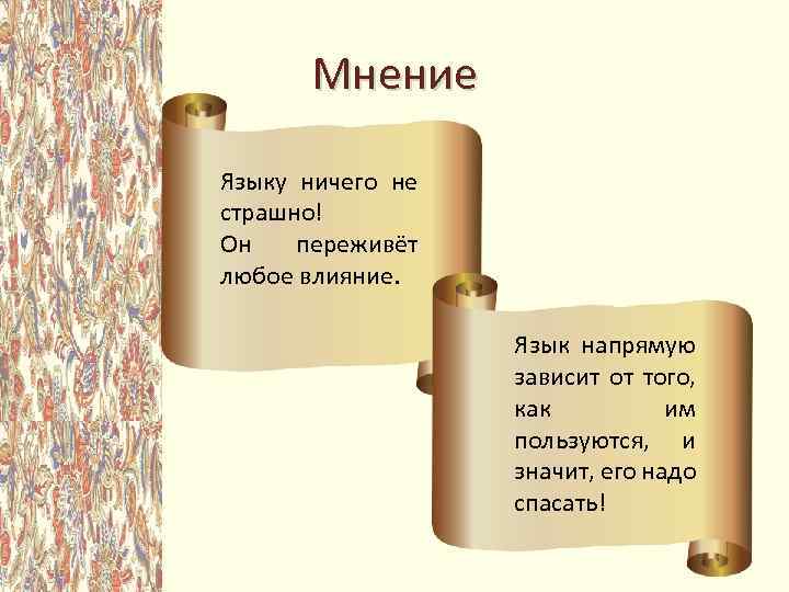 Мнение Языку ничего не страшно! Он переживёт любое влияние. Язык напрямую зависит от того,