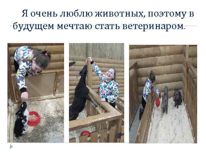 Я очень люблю животных, поэтому в будущем мечтаю стать ветеринаром. 
