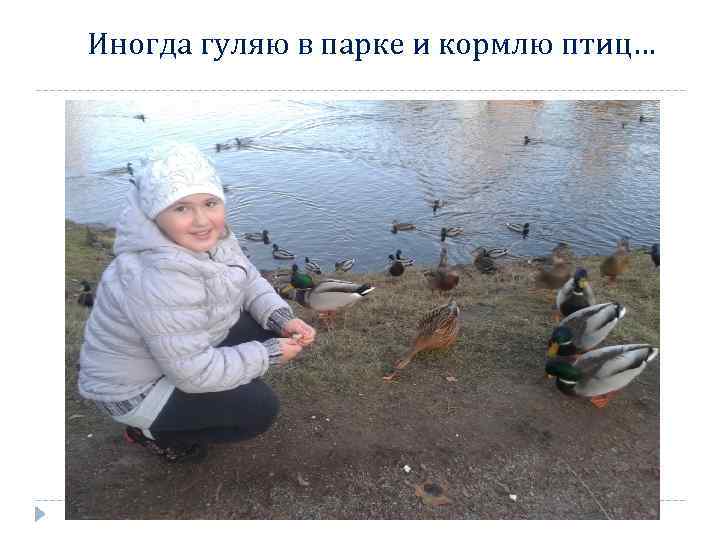 Иногда гуляю в парке и кормлю птиц… 