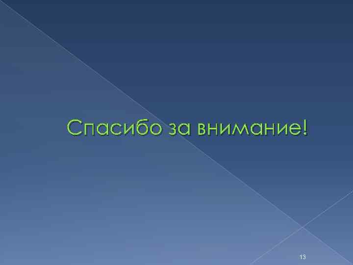 Спасибо за внимание! 13 